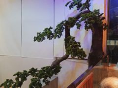 -荷塘秋月·本帮江浙菜(国权路店)