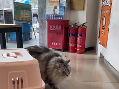 -艾贝尔宠物医院 ·中兽医·宠保定点(北门桥店)
