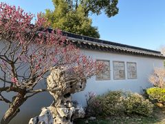 -无锡梅园公园