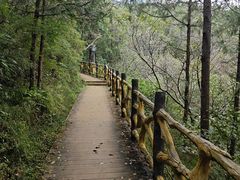 -阳台山自然风景区