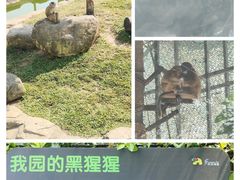 -广州动物园