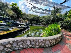 -吉隆坡雀鸟公园