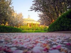 -京津新城温德姆至尊酒店(珠江大道店)