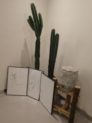 -康颜SPA自然疗愈皮肤管理中心