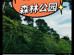 -冠头岭
