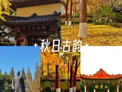 -郑和公园