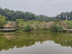 -大屏嶂森林公园