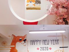 -柴迷FANS CLUB·柴犬狗咖·猫咖