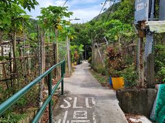 -南丫岛
