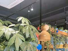 -金柱大盘鸡(波斯坦店)