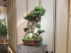 -新安人家·22年本地餐厅