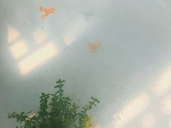 -皇家冰窖小院(什刹海店)