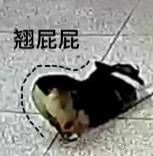 -对面面馆