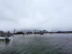 -大九湖