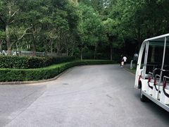 -吴淞炮台湾湿地森林公园烧烤区