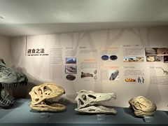 -自贡恐龙博物馆