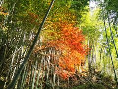 -径山寺