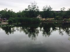 -前关湿地公园