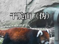 -成都动物园