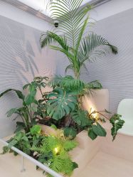 -纯粹医美