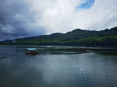 -西湖游船