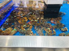 水产区-盒马鲜生(龙德广场店)