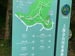 -上海佘山国家森林公园天马山园