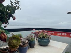 -野菌皇海景野生菌火锅(滨海大道店)