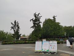 -大兴滨河森林公园