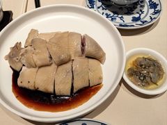 原种清远市师鸡-侨美食家·粤菜(体育西路店)