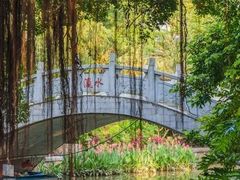 -小洲村