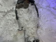 -宁波冰雪大世界(北仑区)