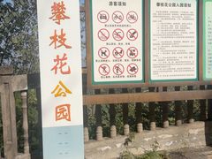 -攀枝花公园
