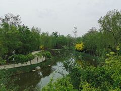 -天津武清北运河郊野公园房车露营地