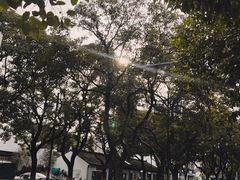 -山塘街
