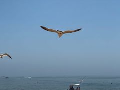 -大连金石滩国家旅游度假区