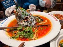 -坛宗剁椒鱼头(河西王府井店)