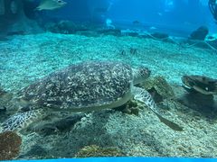 -福州罗源湾海洋世界旅游区