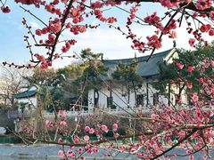 -月湖风景区