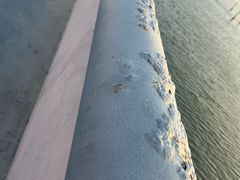 -清水湾旅游度假区