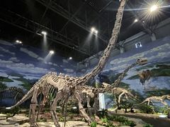 -自贡恐龙博物馆