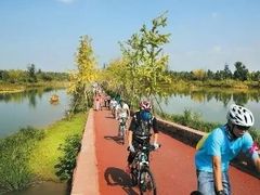 -白鹭湾湿地公园