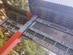 -莱西月湖公园