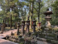 -奈良公园