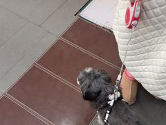 -联合动物医院(光谷诊疗中心)