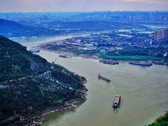 -铁山坪森林公园