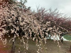 -白塘生态植物园