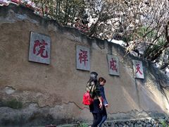 -武夷山风景名胜区-虎啸岩