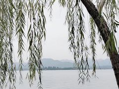 -西湖天地