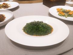 古井贡醉嫩草头-山里亲戚(淞虹路店)